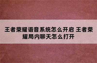 王者荣耀语音系统怎么开启 王者荣耀局内聊天怎么打开